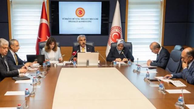 Vatandaşlardan Meclis'e ilginç talepler haber görseli