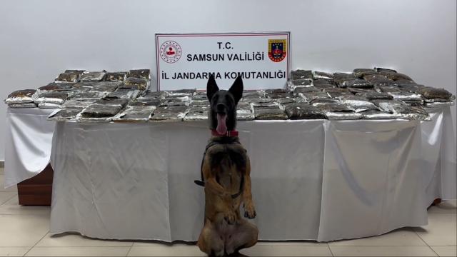 Samsun'da bir tırda 132 kilogram uyuşturucu ele geçirildi haber görseli