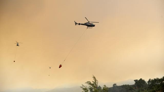 Orman yangınlarına 23 uçak, 54 helikopter ve 1035 araçla müdahale ediliyor haber görseli