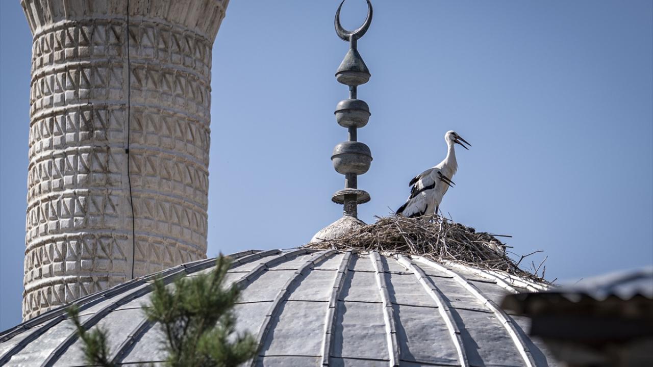 "Köylümüz, yuvalarını bozmak istemiyor"