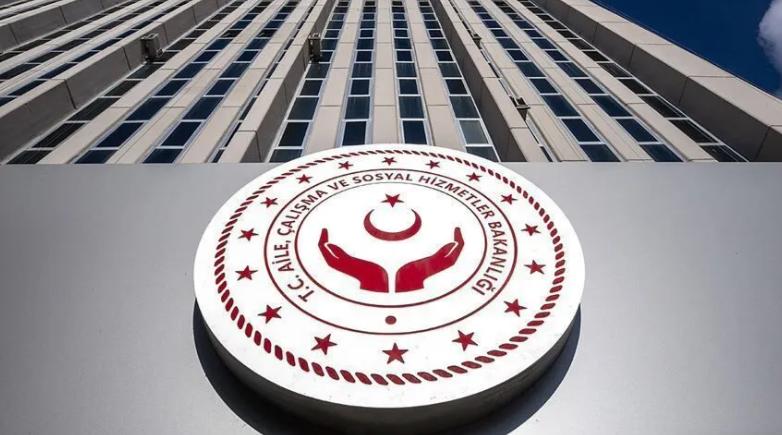 6 - Koruyucu ve destekleyici tedbirlerin yerine getirilmesinde kurumların koordinasyonu nasıl sağlanacak?