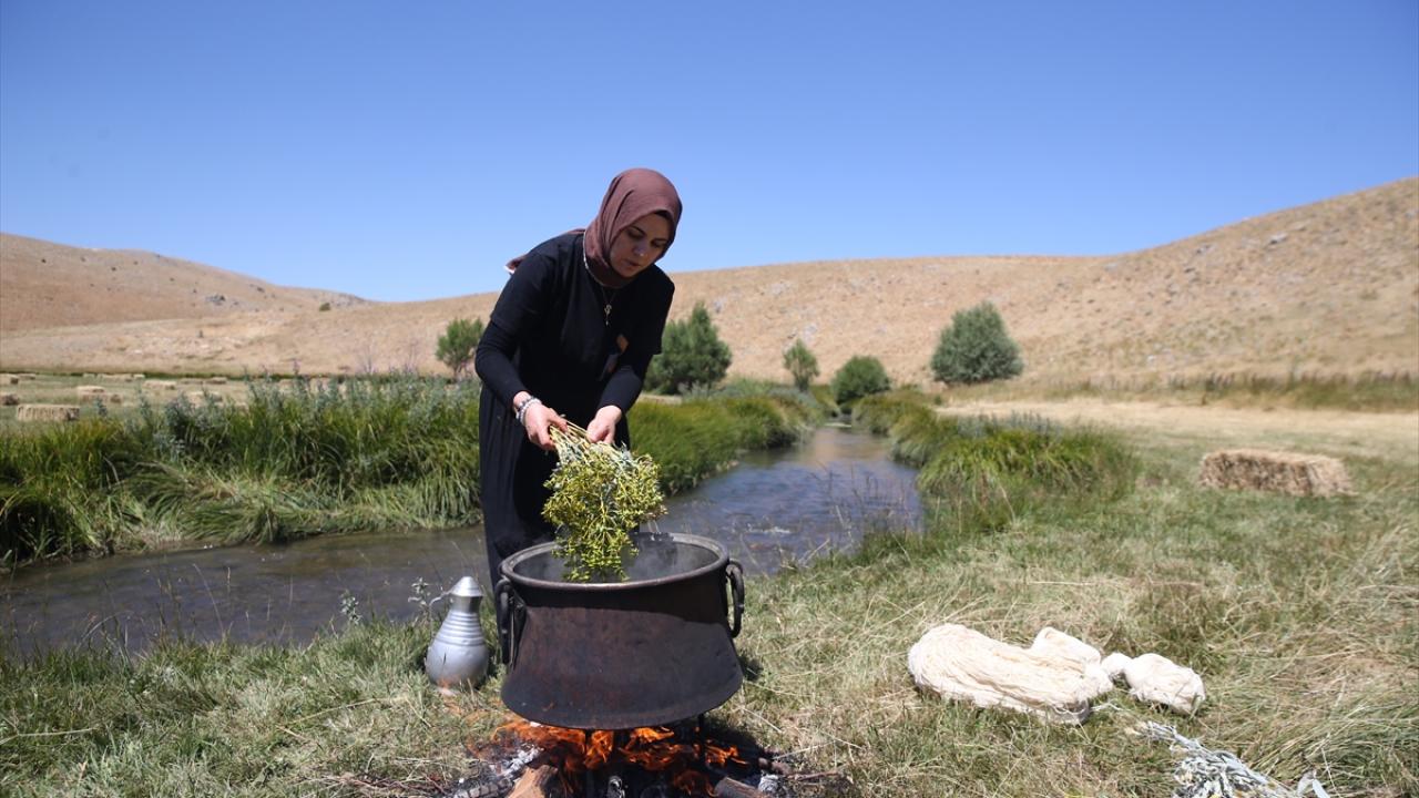 "Kök boyaya son 2 yıldır merak biraz daha arttı"