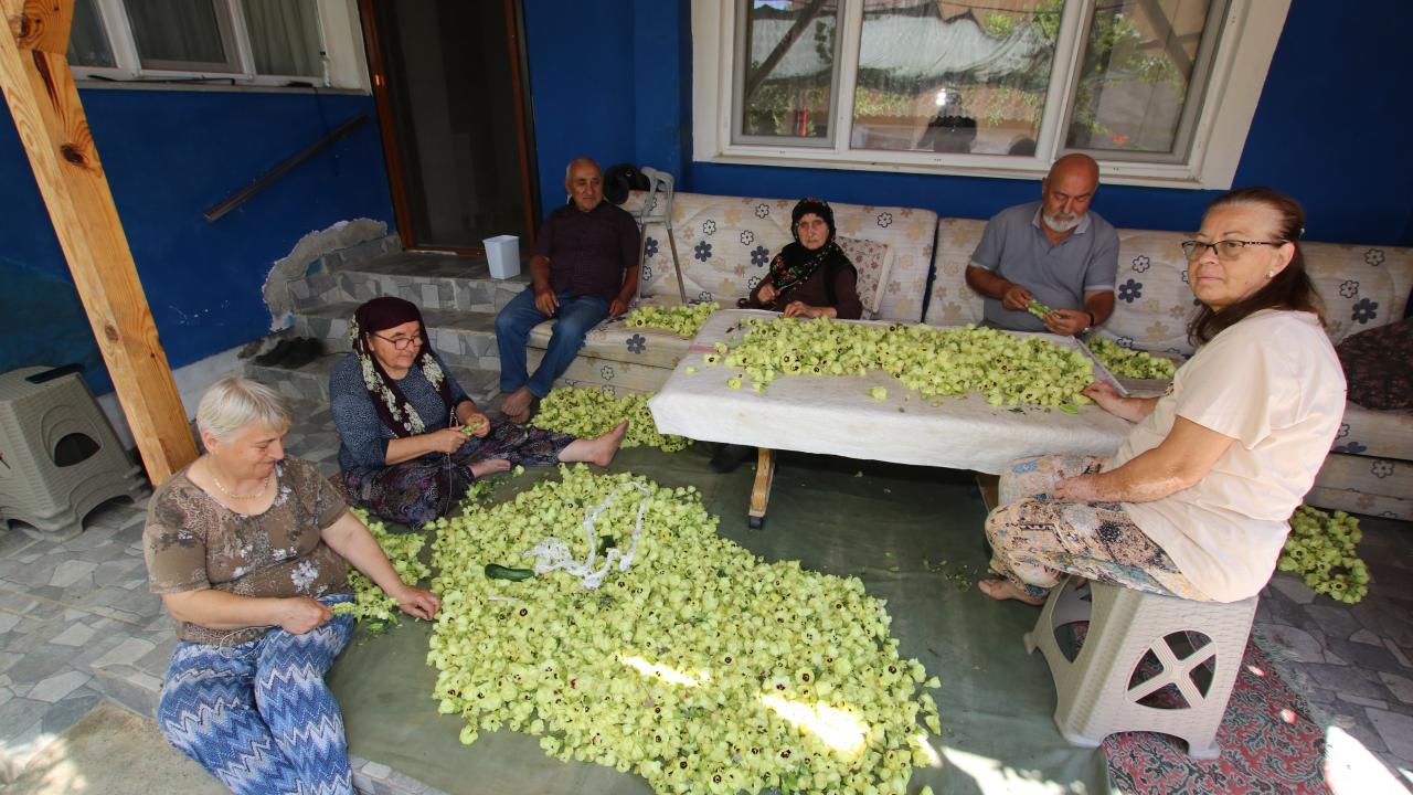 Haber: Serdoğan Sıvacı