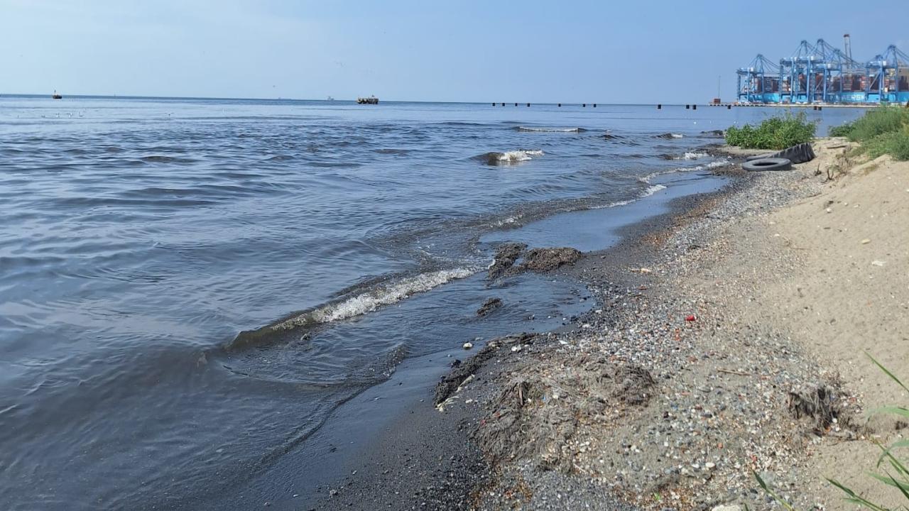 Ambarlıda denize kanalizasyon döken İSKİye üçüncü ceza