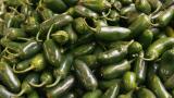 ABD'de jalapeno biberlerinden kaynaklandığı düşünülen salmonella salgını 27 eyalete yayıldı