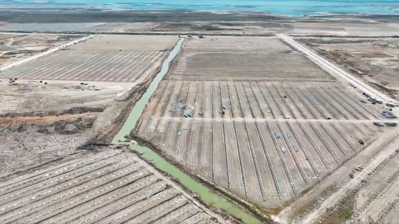 Adana'da modern topraksız tarım dönemi: 5 bin kişiye istihdam imkanı