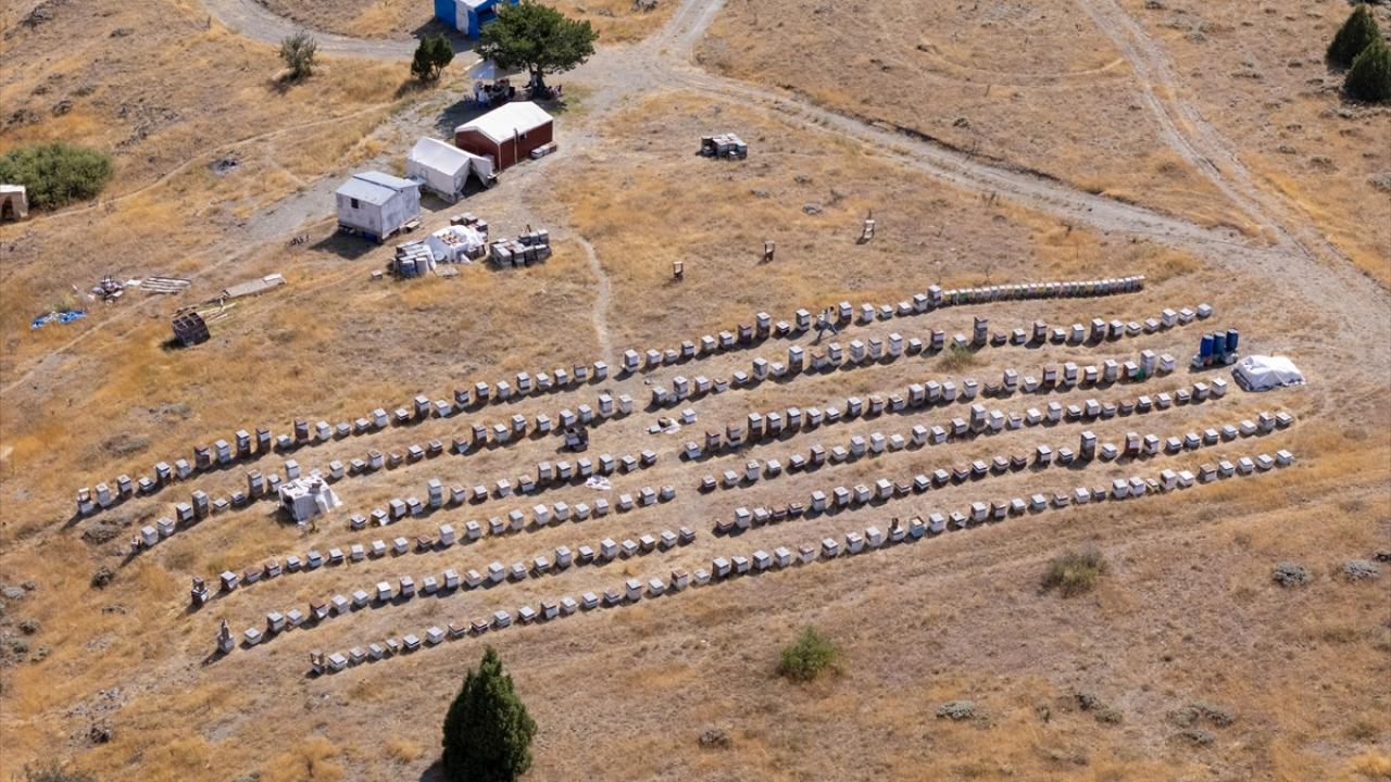 Gezginci arıcı aile, Bozok Yaylası'nda bal mesaisinde