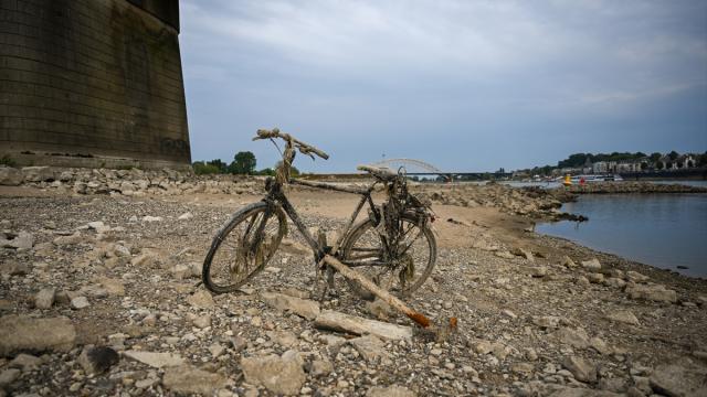 Hollanda'da kuraklık Ren Nehri'nde su seviyesini düşürdü