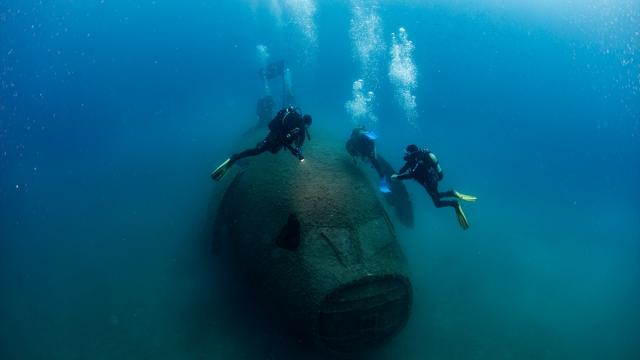 Kruvaziyer turistleri Kuşadası'nın su altı güzelliklerini de keşfediyor