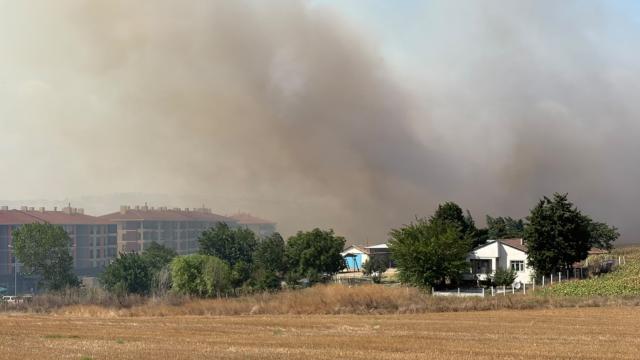 Silivri'de tarlada başlayan yangın yayıldı haber görseli
