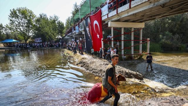 Denizli'de çobanlar, "elci" koyunlarıyla sudan geçmek için yarıştı