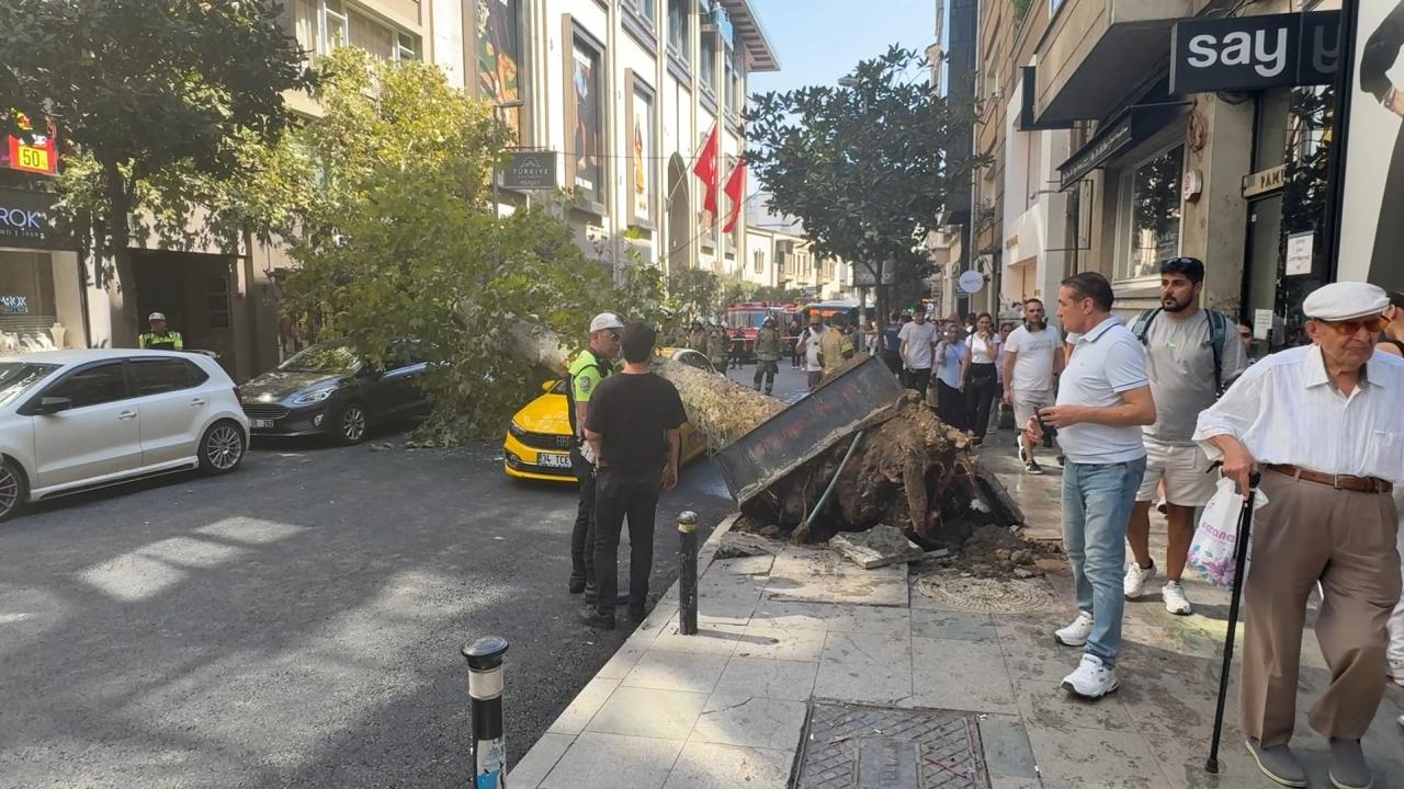 Şişlide ağaç devrildi: Yol trafiğe kapandı