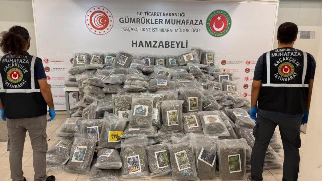 Hamzabeyli Sınır Kapısı'nda 287 kilo esrar ele geçirildi haber görseli