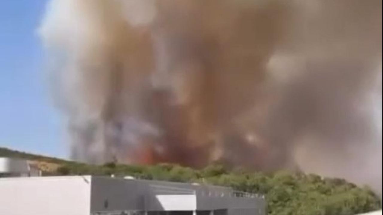 Bursa’da orman yangını