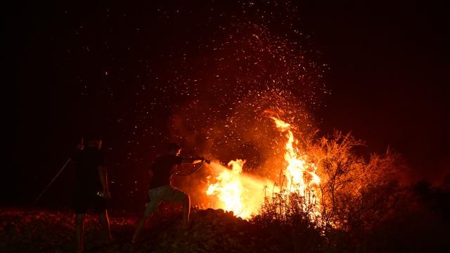 Antalya yangınlarla mücadele ediyor