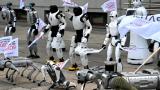 Polonya'da robotlar yapay zekaya karşı protesto düzenledi: İş yerlerini koruyun