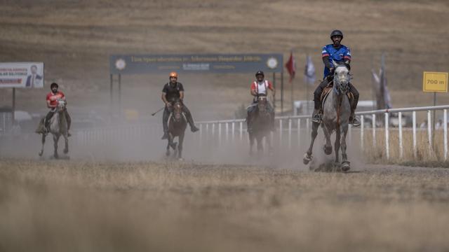 Rahvan atlar Erzurum'da hünerlerini sergiledi