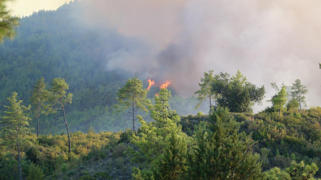 Antalya Serik’teki yangının enerjisi düşürüldü