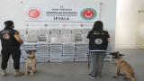 İpsala Gümrük Kapısı'nda 387 kilogram uyuşturucu ele geçirildi