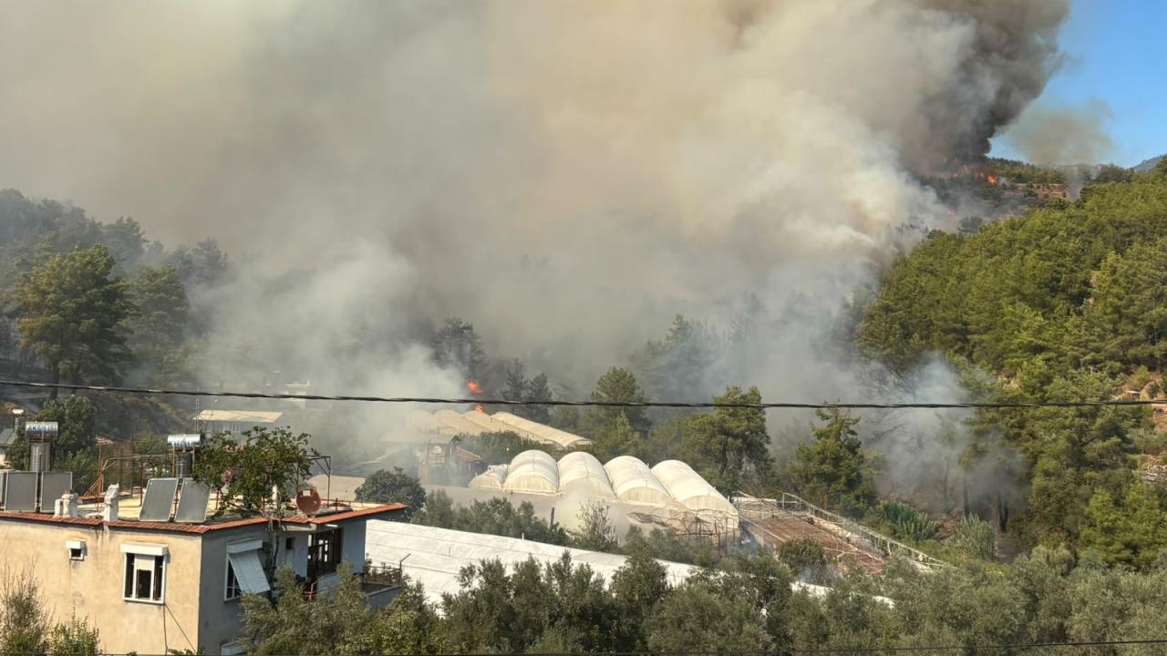 Antalya'da orman yangını