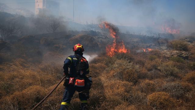 Yunanistan'ın Evia Adası'nda orman yangını