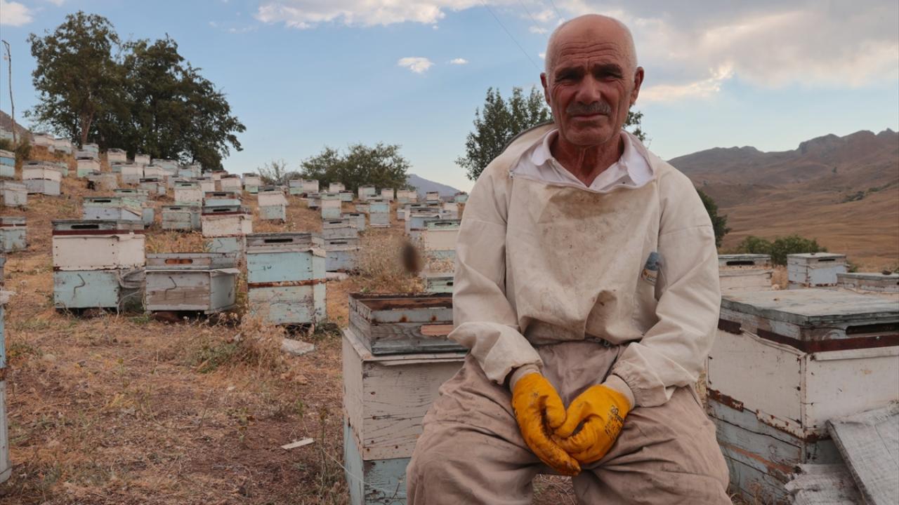 "Burası ikinci memleketimiz"