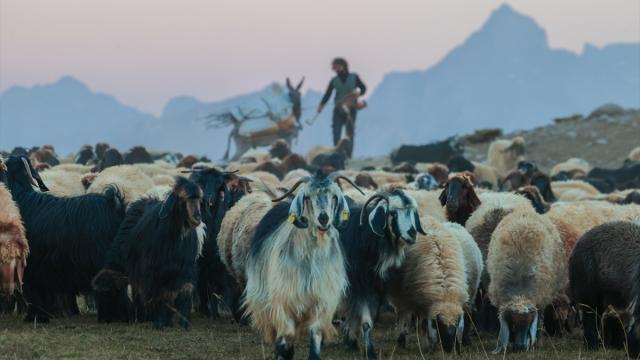 Hakkari'deki göçerlerin iki ay sürecek dönüş yolculuğu başladı
