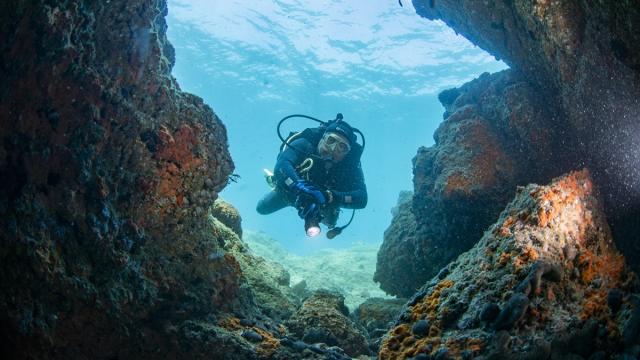 Kuşadası'nın su altı mağara ve kovukları dalışseverlere adrenalini yüksek bir deneyim sunuyor