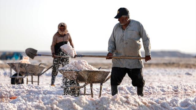 Suriye-Irak sınırındaki Deyirzor Çölü'nde çalışan işçiler, geçimlerini tuzdan sağlıyor