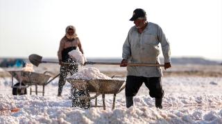 Suriye-Irak sınırındaki Deyirzor Çölü'nde çalışan işçiler, geçimlerini tuzdan sağlıyor