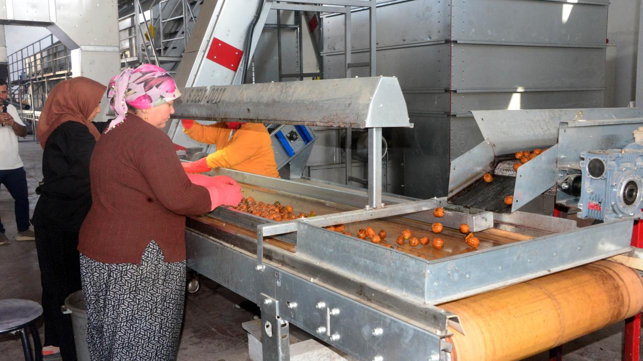 "Hasatlarımız güzel gididyor"