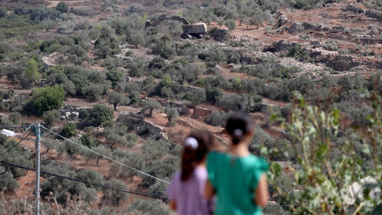 "Bu tahribat, özellikle zeytin hasadı öncesinde yapılıyor"