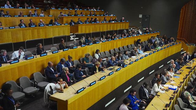 İsviçre, COP31W'de Türkiye ile 'uzun vadeli' ortaklıklara hazırlanıyor