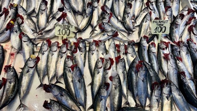 Trabzon'da palamut 100-125 liradan alıcı buluyor
