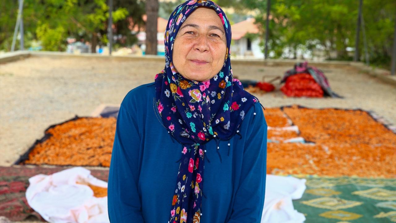 Kooperatif çatısı altında yılda 6 ton tarhana satışı