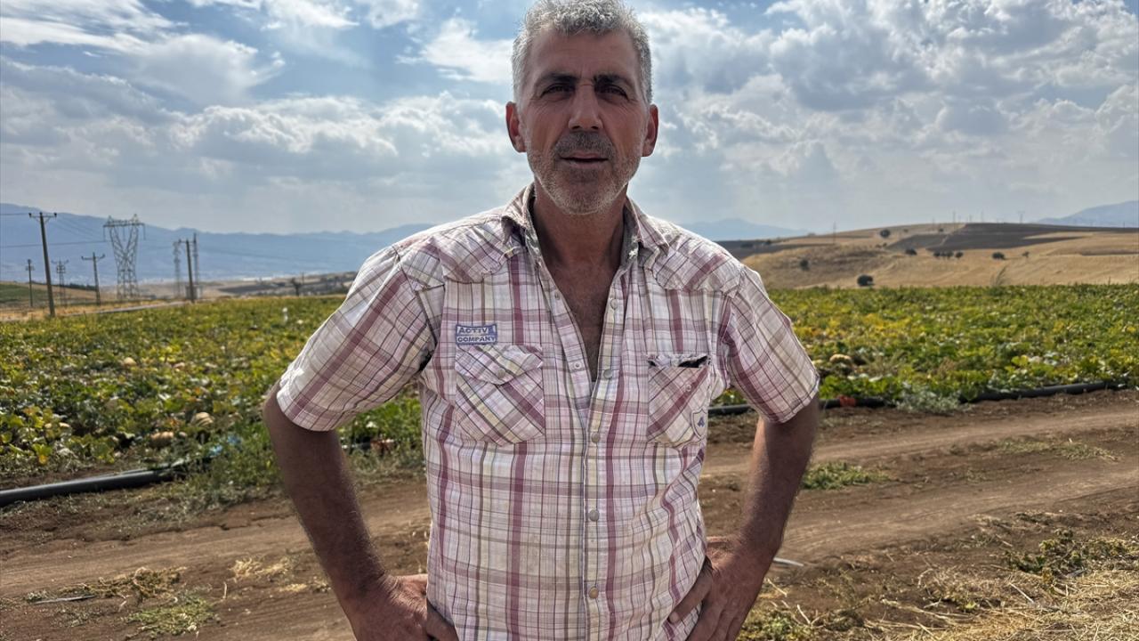 "20 senedir bal kabağı üretimine devam ediyoruz"