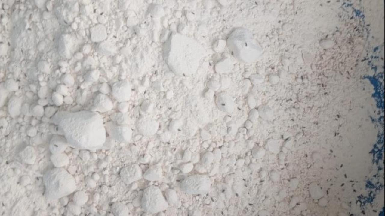 Bir iş yerinde 7,5 ton böceklenmiş un ele geçirildi