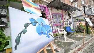 Farklı ülkelerden 81 ressam Düzce'de düzenlenen festivalde buluştu