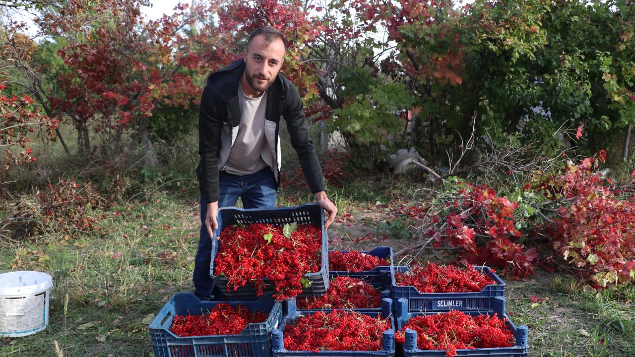 `Meşrubat yerine ikram ederiz`