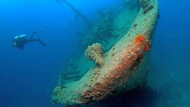 Bodrum açıklarındaki Yassıada'da su altı mirası kontrollü dalışlarla keşfediliyor
