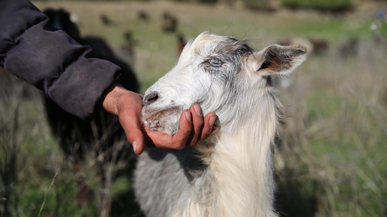 "Yağmur, bazen yüksek dağlarda da kar ve dolu yağıyor