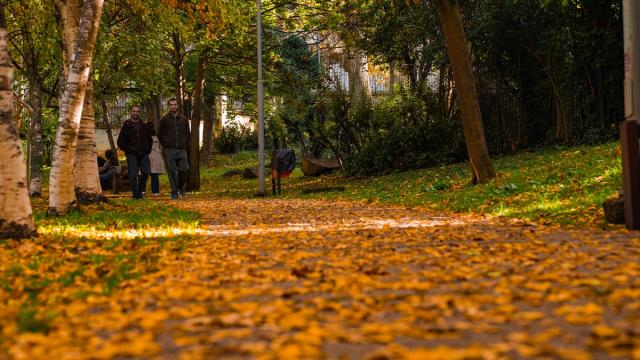 Başkentte sonbahar renkleri