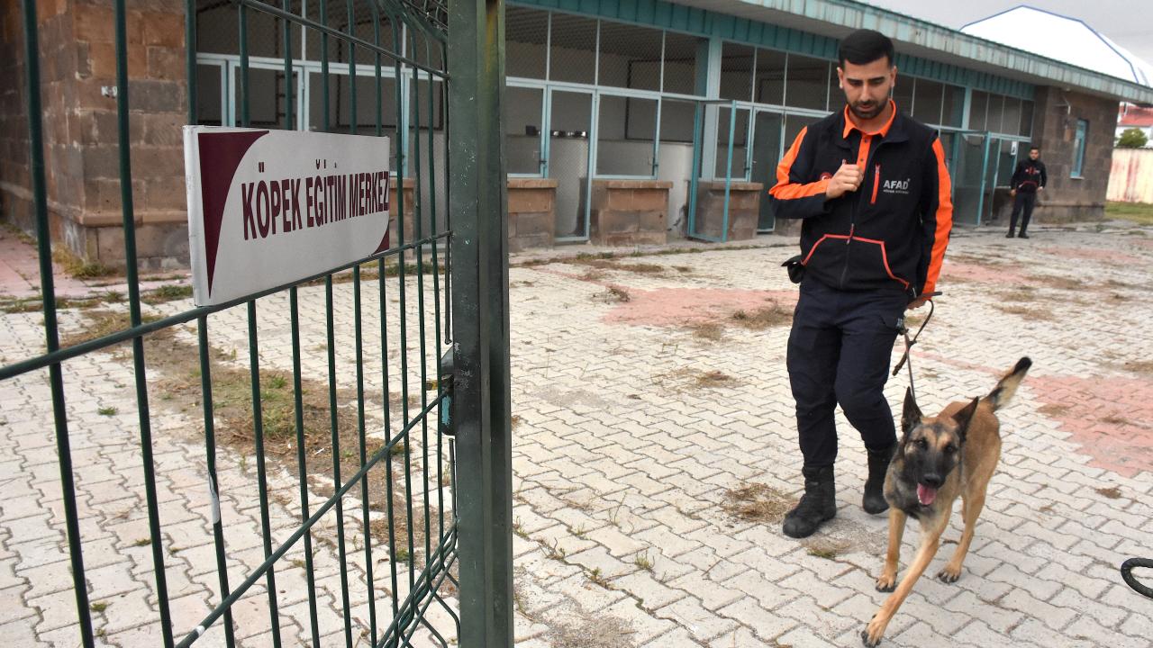 "Köpeklerimize gözümüz gibi bakıyoruz"