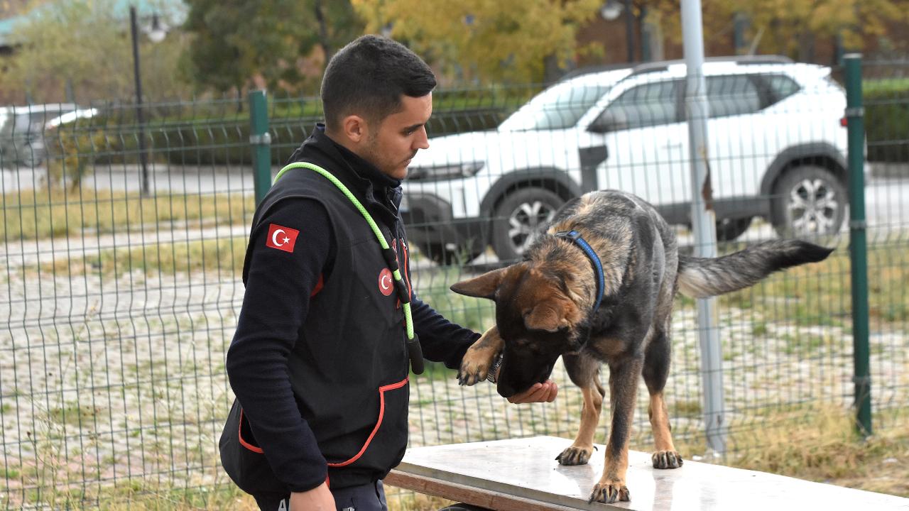 "Köpeklerimizi tamamen hazır hale getirdikten sonra göreve çıkaracağız"