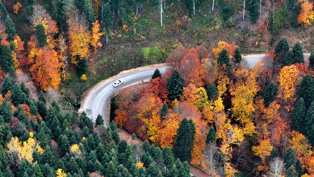 Bolu'da sonbahar güzelliği