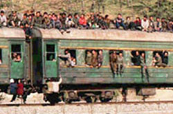 Dancheon, Kuzey Kore 1998