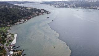 İstanbul Boğazı'nın rengi değişti