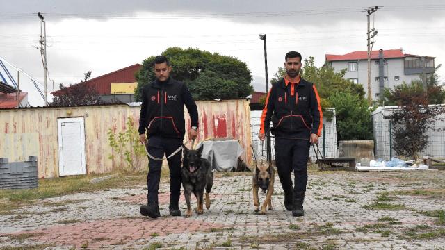 AFAD'ın dört ayaklı kahramanları can kurtarmak için eğitiliyor