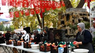 Bilecik'te 7. İnhisar Nar Festivali düzenlendi