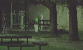 Sahibinin yanına kimseyi yaklaştırmadı